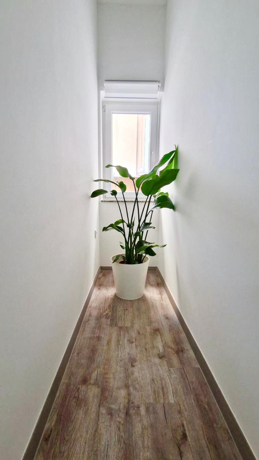 Ljubljana Central Cozy Apartment W Free Parking מראה חיצוני תמונה